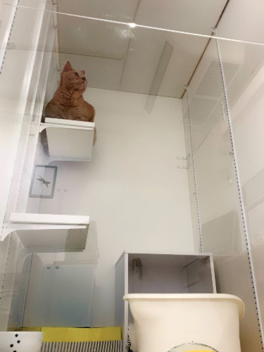 Jr.スイートに泊まりに来てくれた、ウリさん☆