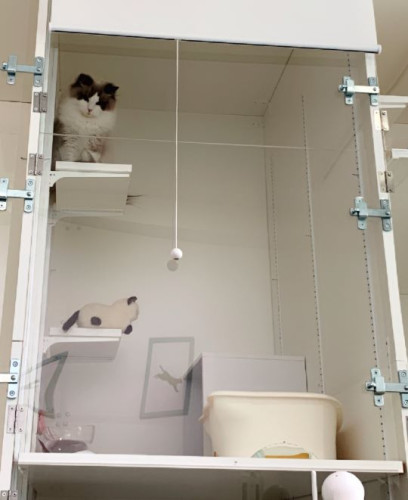 Jr.スイートに泊まりに来てくれた、ノエルさん❤️